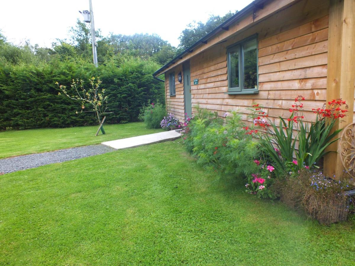 The Potting Shed And The Garden Shed Self Catering * Carmarthen