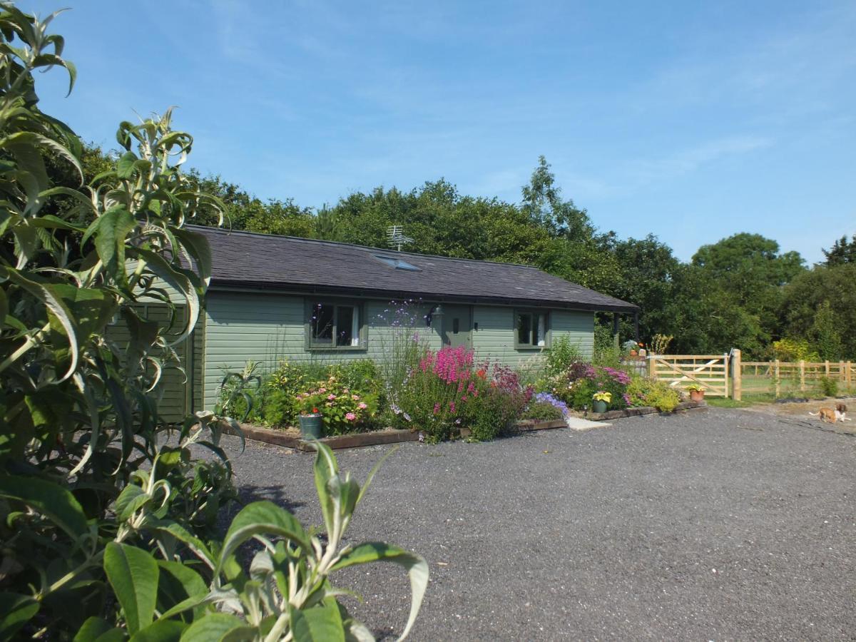 The Potting Shed And The Garden Shed Self Catering *